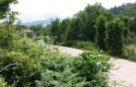 BEŞİKDÜZÜ ADACIK’TA SATILIK 1.553 M2 ARSA